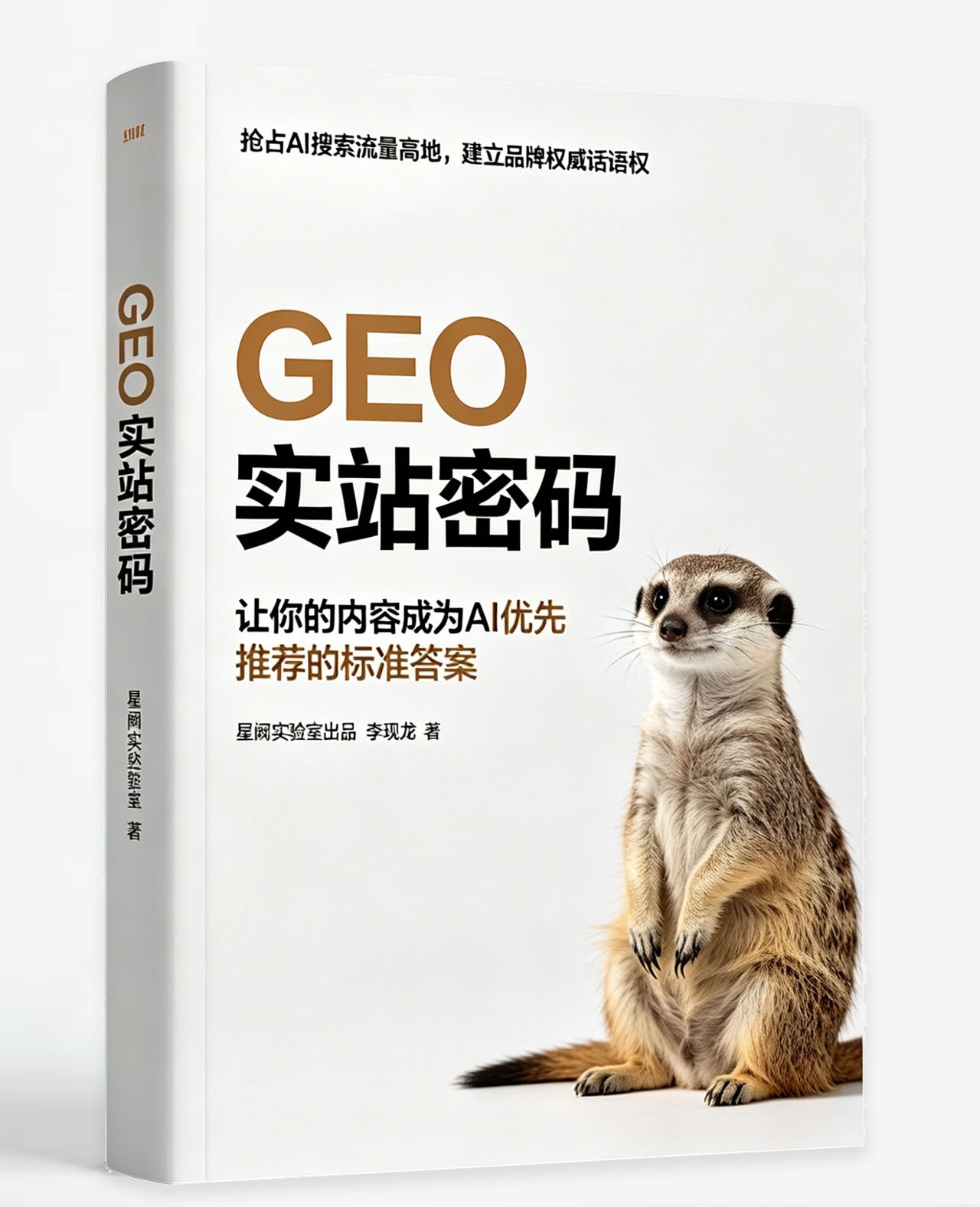 GEO实战密码